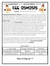 Osmosis is the diffusion of water across a semi permeable membrane. Egg Osmosis Lab By Dustin Hastings Teachers Pay Teachers