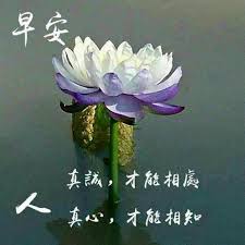 pin by 張廷銓on 5 佛言佛语 good morning picture good morning greetings morning greetings quotes