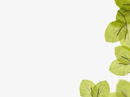 The rome simple powerpoint template in an airy business presentation template. Green Leaf Background Ppt Green Leaf Templates Png Transparent Clipart Image And Psd File For Free Download Green Leaf Background Background Ppt Leaf Background