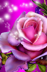 Wallpaper for your phone love wallpaper iphone wallpaper butterfly art butterflies heart background pretty images pretty purple wallpaper butterfly wallpaper galaxy wallpaper wallpaper backgrounds heart iphone wallpaper locked wallpaper cellphone wallpaper hearts. Purple Roses And Butterflies Desktop Wallpapers 640x960