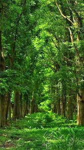 We did not find results for: Wallpaper Hd 1080p Free Download For Mobile Nature