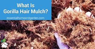 It can be shredded redwood bark or recycled shredded redwood. What Is Gorilla Hair Mulch And When Should You Use It