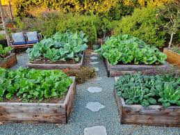 What Is No Till Gardening Or Farming Aka No Dig Benefits Explained Homestead And Chill In 2020 No Till Garden Organic Gardening Garden Care