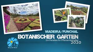 Sie erreichen es mit der gondelbahn. Botanischer Garten Funchal Madeira Januar 2020 Youtube