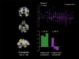 A Neurological Basis For The Lack Of Empathy In Psychopaths Eurekalert Science News