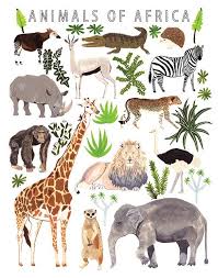 List of african animals extinct in the holocene. 43 African Animals List A Z Wallpaper Hd