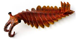 Image result for Centropodia