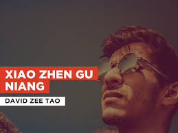Prime Video: Xiao Zhen Gu Niang in the Style of David Zee Tao