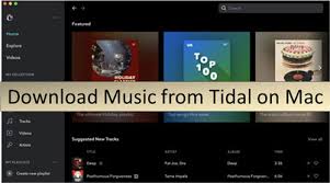Convierta amazon music a mp3, aac, flac y wav · conserve todas las etiquetas id3 después de la conversión · mantiene la calidad de la música tidal hifi a una . Tidal On Mac How To Download Tidal On Mac