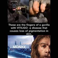 Maybe you would like to learn more about one of these? Reject Monke Return To Humanity 9gag