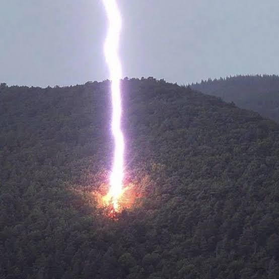 Moment huge lightning bolt strikes as tree which explodes 'into a million pieces' - The Mirror