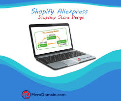 Which shopify plan to get. Shopify Aliexpress Dropship Store Design Mero Domain