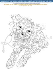 Shih Tzu Dog BUNDLE: Download Print And Color PDF Adorable | Etsy | Shih Tzu  Dog, Shih Tzu, Shih Tzu Puppy