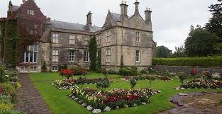 Tanaman hias dapat didefinisikan sebagai semua jenis tanaman, baik yang berbentuk terna, merambat, semak, perdu, ataupun pohon, yang sengaja ditanam sebagai komponen taman, kebun rumah, penghias ruangan, upacara, komponen riasan/busana. 10 Jenis Tanaman Perdu Hias Yang Percantik Halaman Rumah Tokopedia Blog