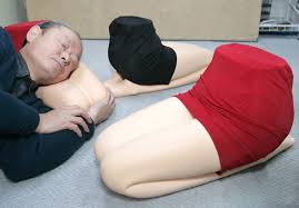 Image result for lap pillow