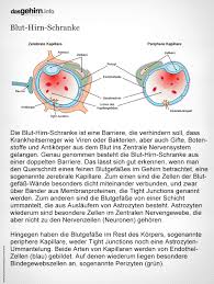 Passiv den stoffaustausch zwischen blut und gehirn. Mediathek Bild Blut Hirn Schranke