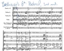 #music5 #melc #notesandrests #dottednotes #numberofbeats. Playing Unusual Time Signatures Strong Weak Beats With Examples
