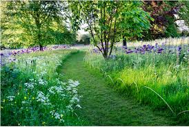 Landscape Ideas On A Budget A Grass Path Is An Alternative To Expensive Stone Or B Green Backyard Landscaping Highgrove Garden Garden Design Ideas On A Budget