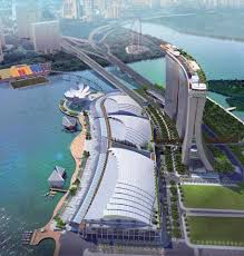 Rare white Lion roars ❤