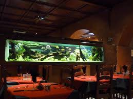 Restaurant Papa Lisa Strasbourg Menu Prix Restaurant Avis Tripadvisor