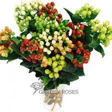 More colors felt hypericum berries that look real, hypericum berry stems, flower decor, valentine gift, mother's day, wedding flowers, bouquet filler littledogcreative. 8 Hypericum Berries Ideas Hypericum Berries Berries Flowers