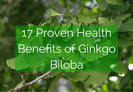 11 benefits of ginkgo biloba. 17 Proven Health Benefits Of Ginkgo Biloba Greenmedinfo Blog Entry