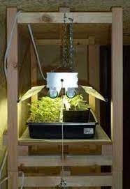 This grow light stand gives you a simple, low cost way to start seeds indoors and get that jump start. Build A Cheap Plant Grow Light Stand Grow Light Stand Grow Lights For Plants Grow Lights