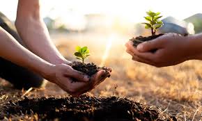 Are you thinking about involving your students in planting a tree to celebrate earth day or arbor day? 15 754 Planting Trees Photos Free Royalty Free Stock Photos From Dreamstime