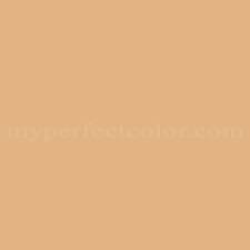 Color Your Hurt 12yy61 523 Tropical Mango