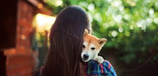 To qualify for an emotional support animal you must have a medical recommendation letter, we have helped thousands meet emotional support animal laws. Do I Qualify For An Emotional Support Dog Letter Esa Doctors