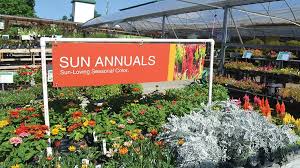 We are here to serve you in whatever capacity suits you best. Exploring The Garden Centers Of Hampton Roads Garden Center Magazine