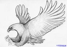 Draw a circle inside each eye and shade them in for the pupils. Pencil Sketches Of Birds At Paintingvalley Com Explore Collection Of Pencil Sketches Of Birds