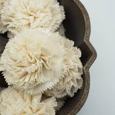 Where can i buy carnation flowers. Carnation Flower Sola Flowers Sold By The Dozen Oh You Re Lovely