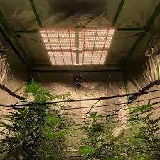 Check spelling or type a new query. Top 5 Best Quantum Led Grow Lights 2021 Brewsters Bar Grill