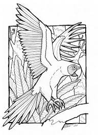 The majestic bald eagle is the national symbol of the united states. The Daily Art Of Lemurkat Macaw Colouring Page Coloring Pages Bird Coloring Pages Animal Coloring Pages