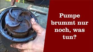 Gartenpumpe Defekt Was Tun Youtube
