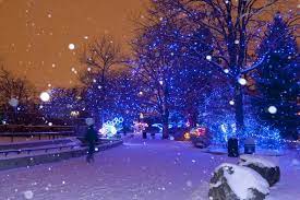 Things To Do In Denver During The Holidays The Denver City Page Denver City Colorado Christmas Winter Family Vacations