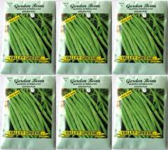 More images for burpee stringless green pod » Valley Greene 6 Pack Burpee Stringless Green Pod 6 Gram Package Heirloom Variety Seeds Buy Online In Faroe Islands At Faroe Desertcart Com Productid 12367836