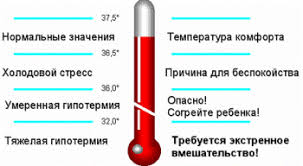 Nizkaya Temperatura U Rebenka Polnocvet Zhenskij Sajt Yandeks Dzen