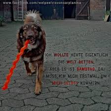 Guten Morgen Und Einen Zauberhaften Samstag Allerseits Gewunscht Habt Einen Wundervollen Tag Und Geniesst Eue Hundespruche Hunde Guten Morgen