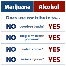 marijuana is safer than alcohol its time to treat it that way