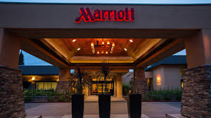 Get insight on banfield pet hospital real problems. Visit Our Napa Valley Marriott Hotel Napa Valley Marriott
