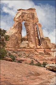 Is canyonlands national park open. Canyonlands National Park