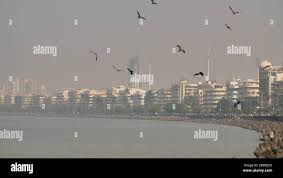 Towers of silence mumbai hi-res stock ...