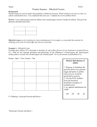 Find the phenotypic ratio for the potential offspring. Punnett Squares Dihybrid Crosses