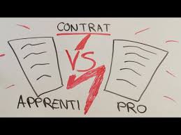 Le point commun entre ces deux types de contrats tient à leur format. Contrat D Apprentissage Vs Contrat De Professionnalisation Youtube