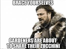 Squash (and zucchini, a variety of squash) is a favorite in the spring and summer vegetable garden. Zucchini And Yellow Squash In The Microwave Sula And Spice