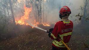Segundo a gnr, que remeteu os factos para o tribunal judicial de odemira, o incêndio consumiu uma área de 195 hectares composta por sobreiros, azinheiras, medronheiros, mato e pasto, e causou a. Combate A Fogo Em Odemira Ja Envolve Mais De 400 Bombeiros