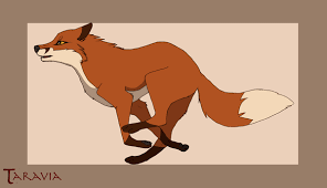 Browse through our extensive range of fox animation at pandagif. Gif Fox Animated Gif On Gifer