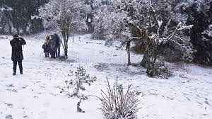 Aproveitando o potencial de incidência de neve no morro da igreja (serra catarinense) Top 10 Cidades Onde Mais Cai Neve Em Santa Catarina